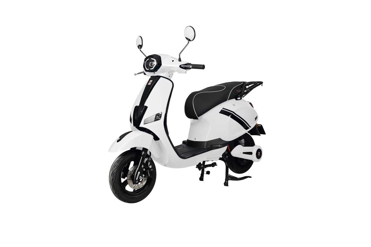 WİND 5500