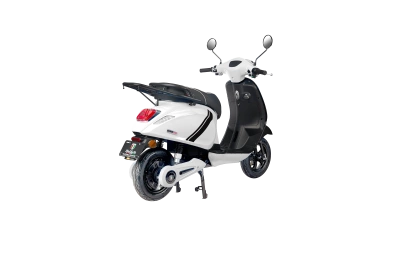 WİND 5500